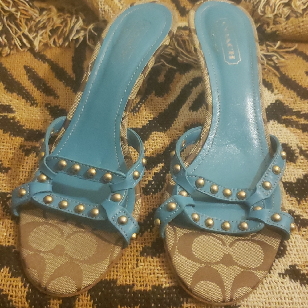 Coach Slides - Picture 2 of 6